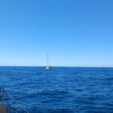 Apartment Noel's Dreams *