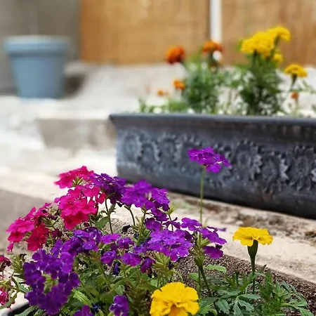 Noel's Dreams Apartment *