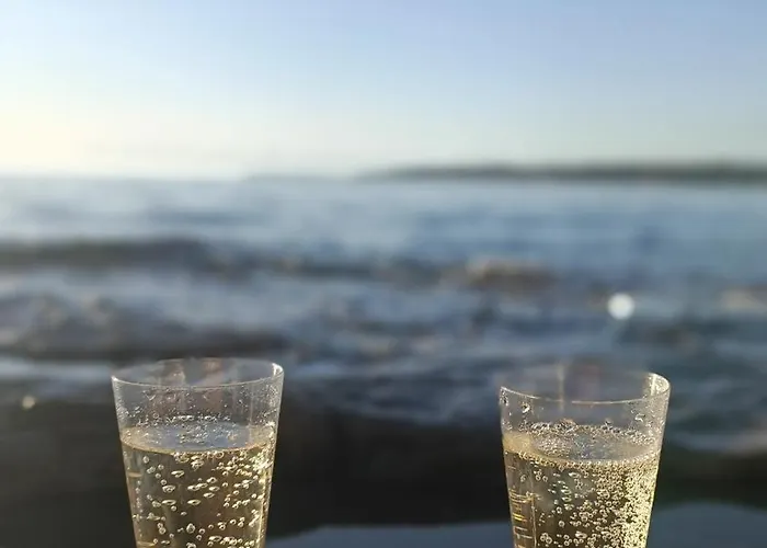 Noel's Dreams Praputnjak