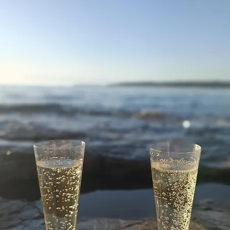 Noel's Dreams Praputnjak