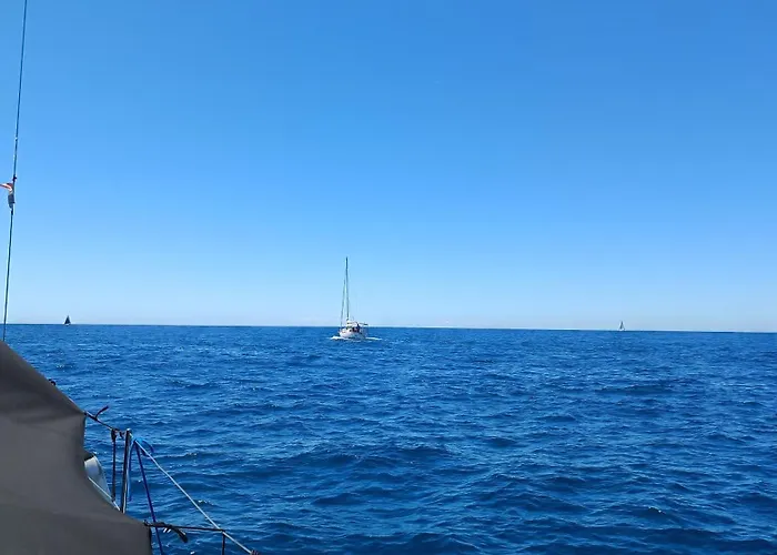 Apartament Noel's Dreams *